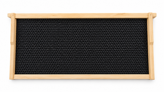 Full Depth Frame Assembled With Plastic Foundation Black Sheet