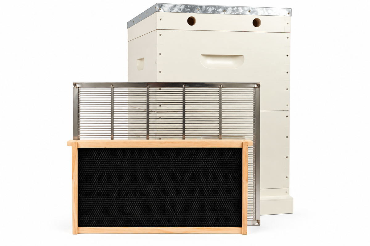 10 Frame Double Beehive β 22mm Timber, Plastic Foundation, Wax Dipped & Painted