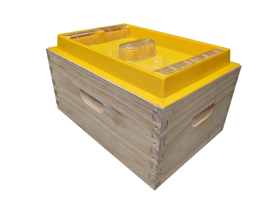 Top Feeder 10 Frame Size