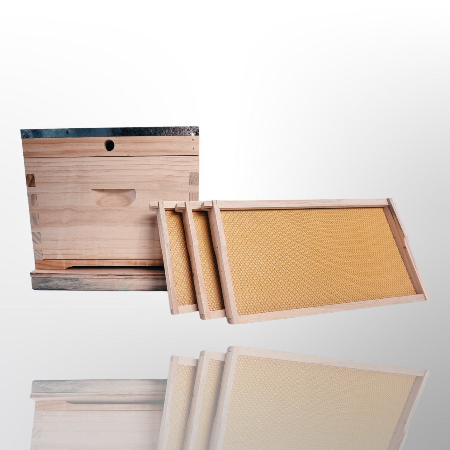 10 frame beehive single - plastic foundation