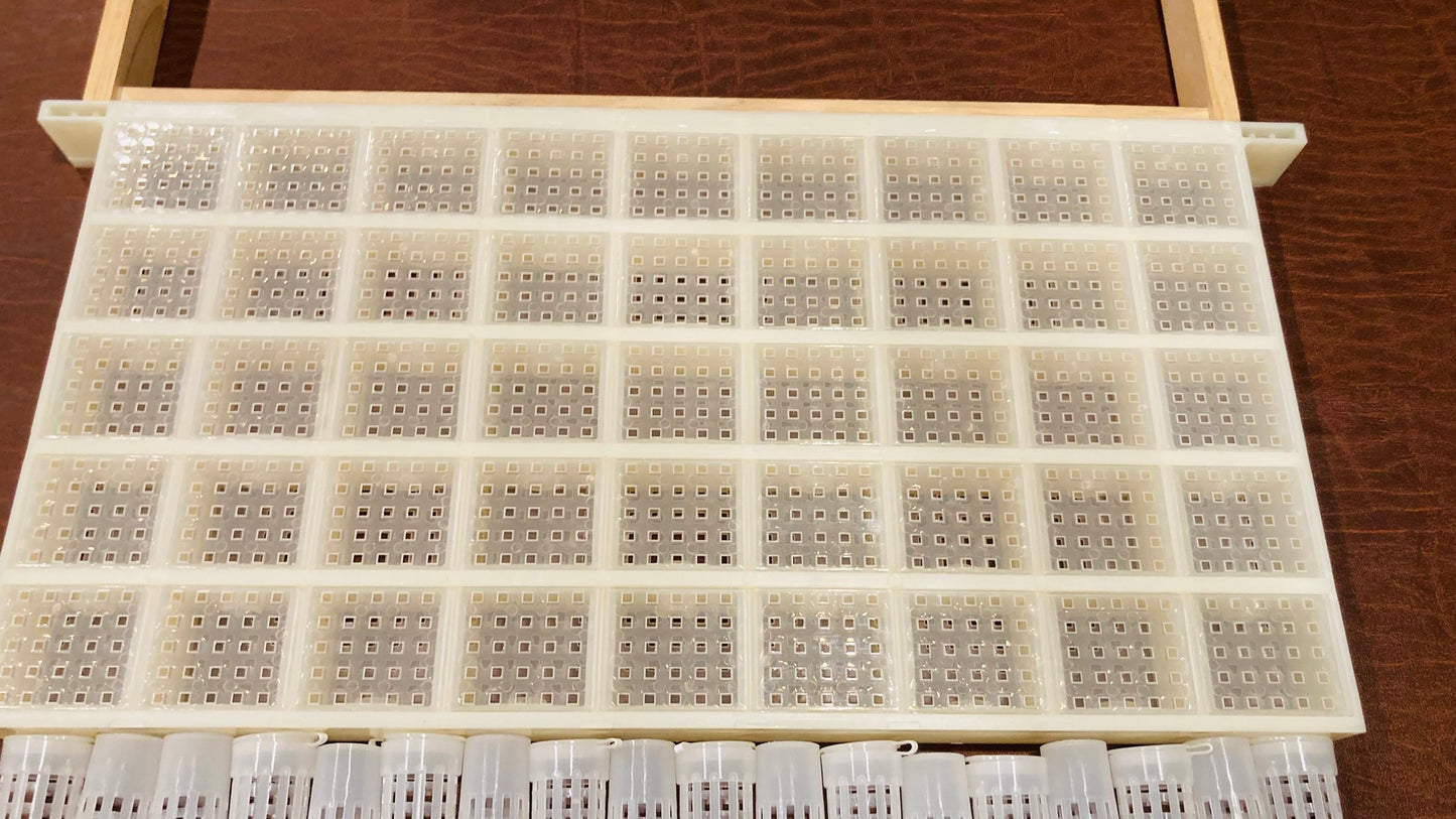 Queen rearing 45 cells Kit