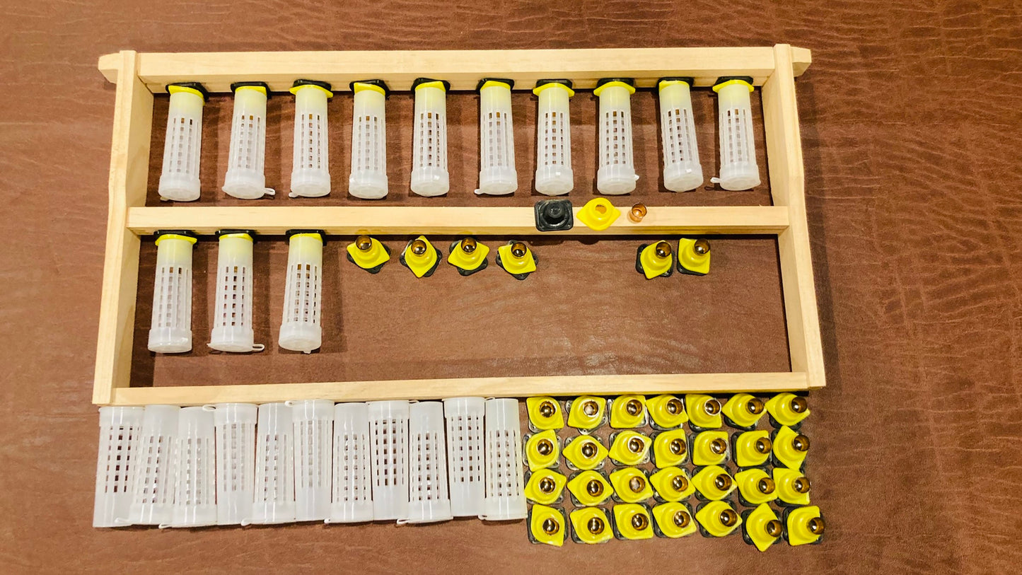 Queen rearing 45 cells Kit