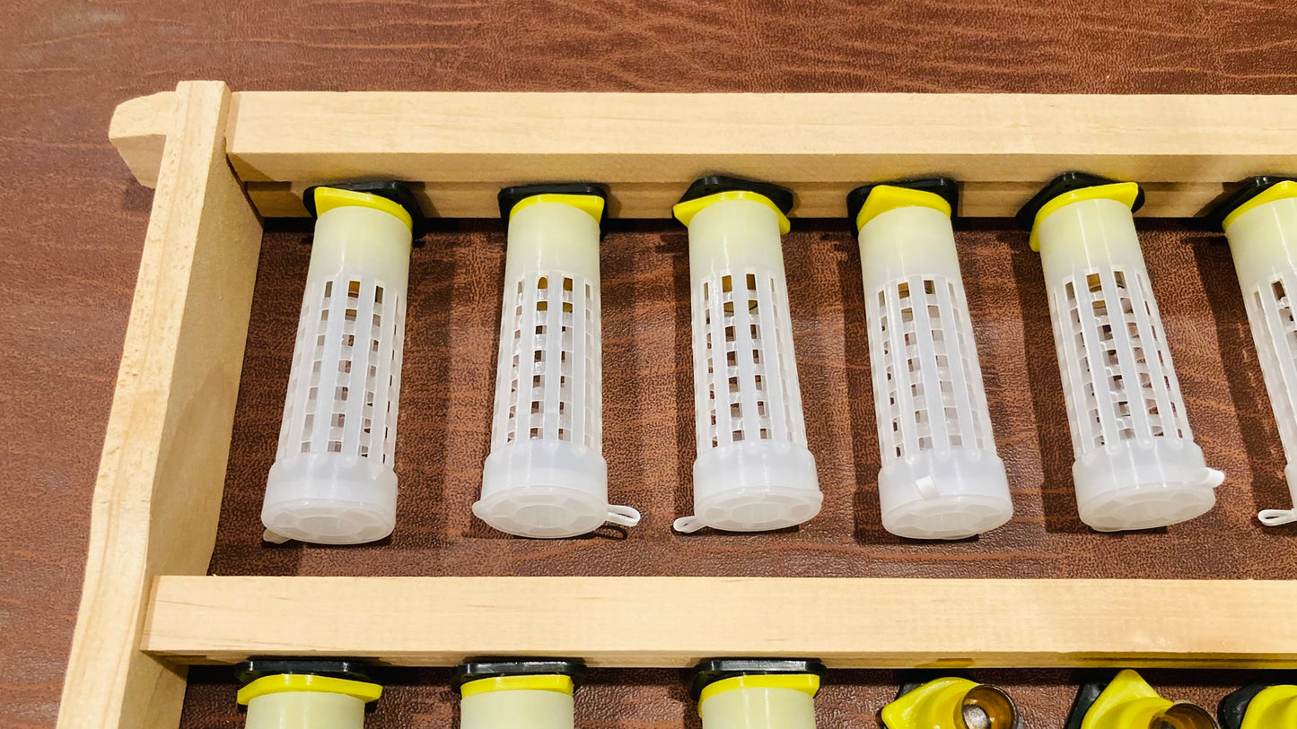 Queen rearing 45 cells Kit