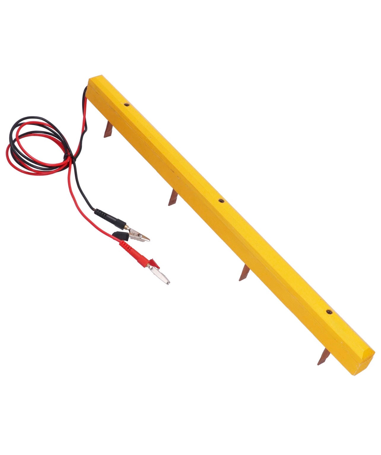 Foundation Embedder for Beehive Frames