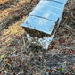Nucleus Hive