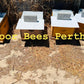 Established Bee Hives 10 Frames