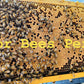 Nucleus Hive
