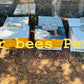 Established Bee Hives 10 Frames