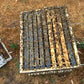 Established Bee Hives 10 Frames