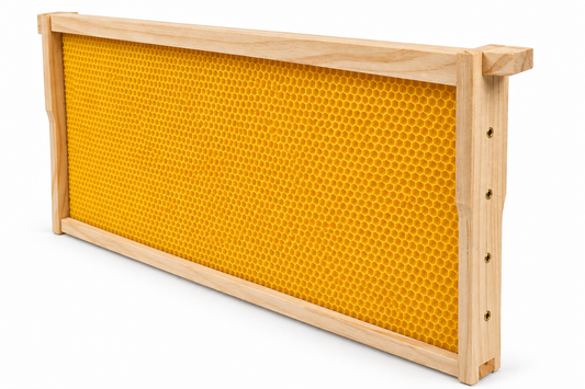 Full Depth Frame Assembled With Plastic Foundation Yellow Sheet