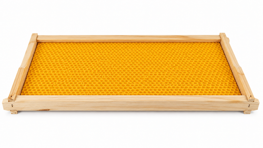 Full Depth Frame Assembled With Plastic Foundation Yellow Sheet