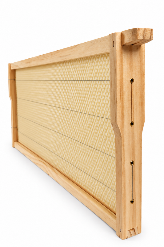 Full Depth Frame Assembled Wired With Eyelids Installed & Beeswax