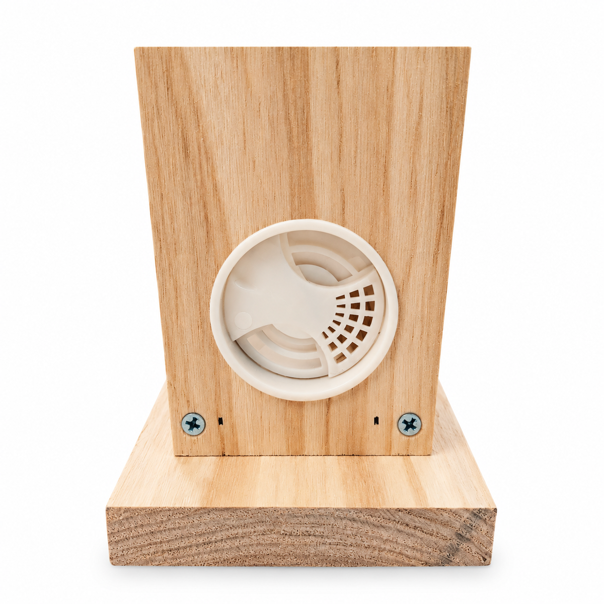 Observation Educational Beehive - Single Frame