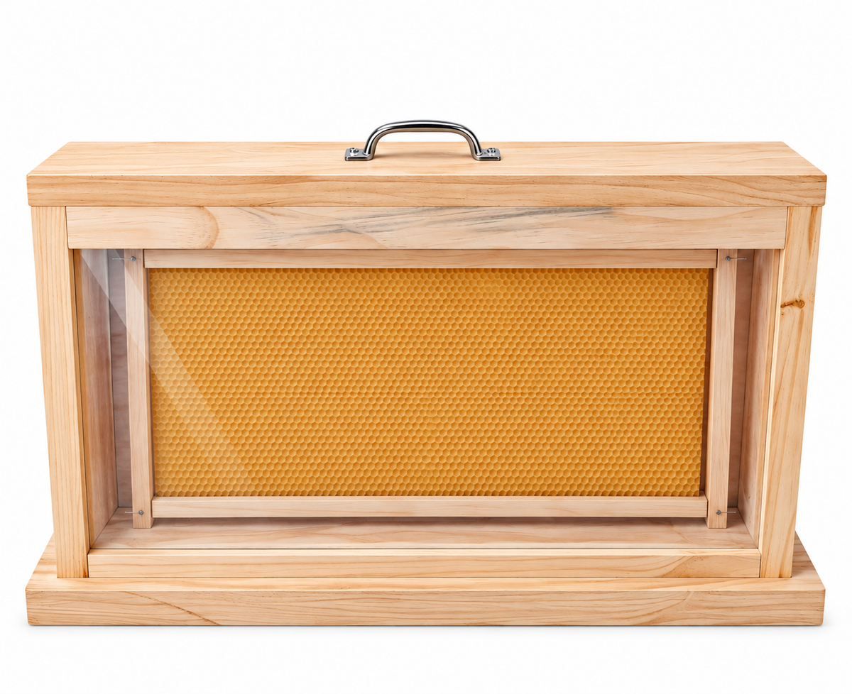 Observation Educational Beehive - Single Frame