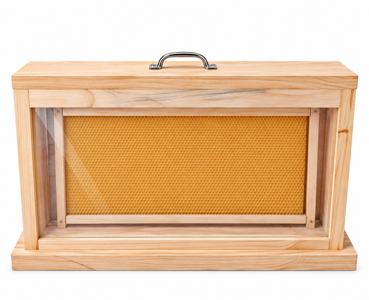 Observation Educational Beehive - Single Frame