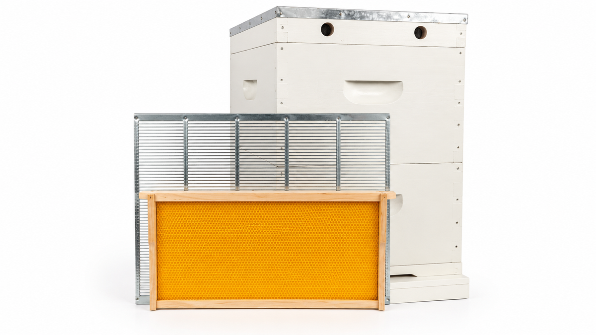 10 Frame Double Beehive – 22mm Timber, Plastic Foundation, Wax Dipped & Painted