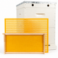 10 Frame Double Beehive – 22mm Timber, Plastic Foundation, Wax Dipped & Painted
