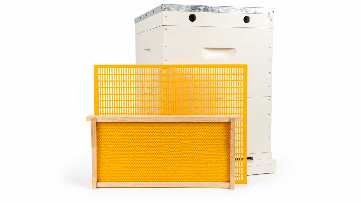 10 Frame Double Beehive – 22mm Timber, Plastic Foundation, Wax Dipped & Painted