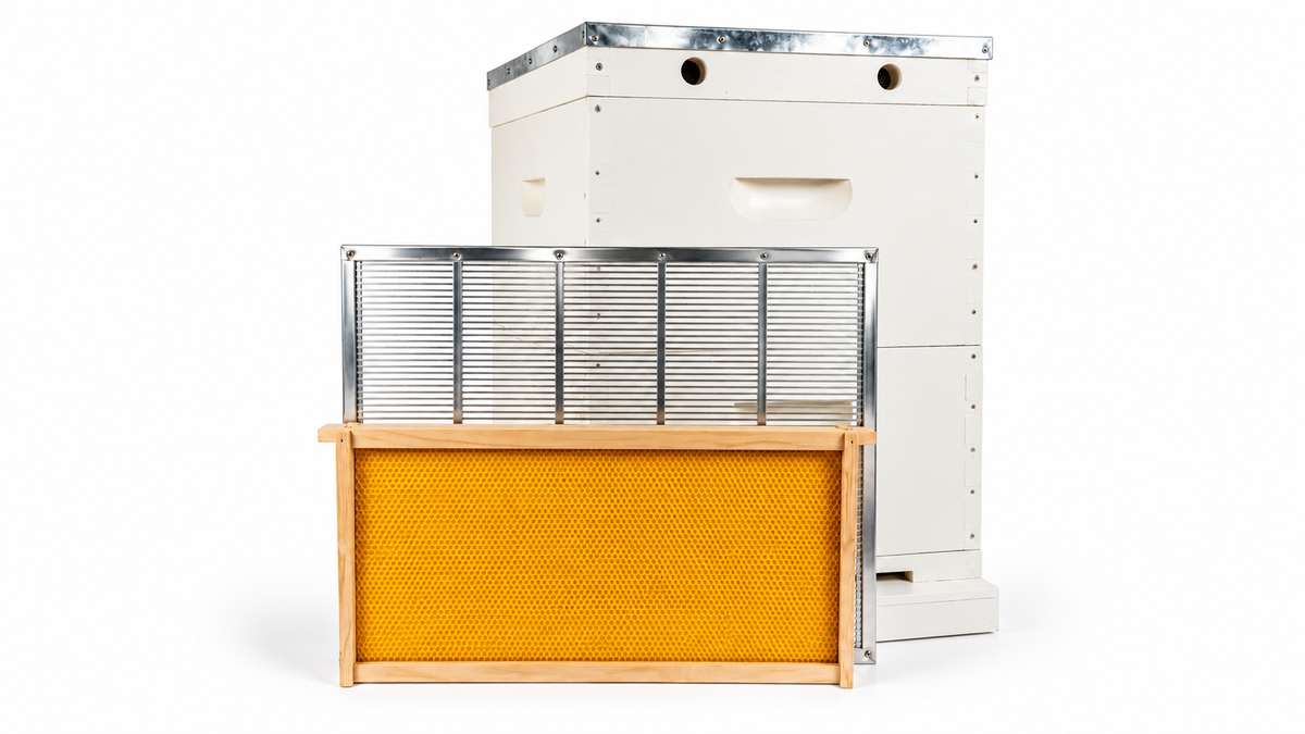 10 Frame Double Beehive – 22mm Timber, Plastic Foundation, Wax Dipped & Painted