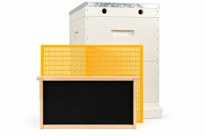 10 Frame Double Beehive – 22mm Timber, Plastic Foundation, Wax Dipped & Painted