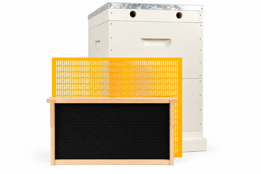 10 Frame Double Beehive – 22mm Timber, Plastic Foundation, Wax Dipped & Painted