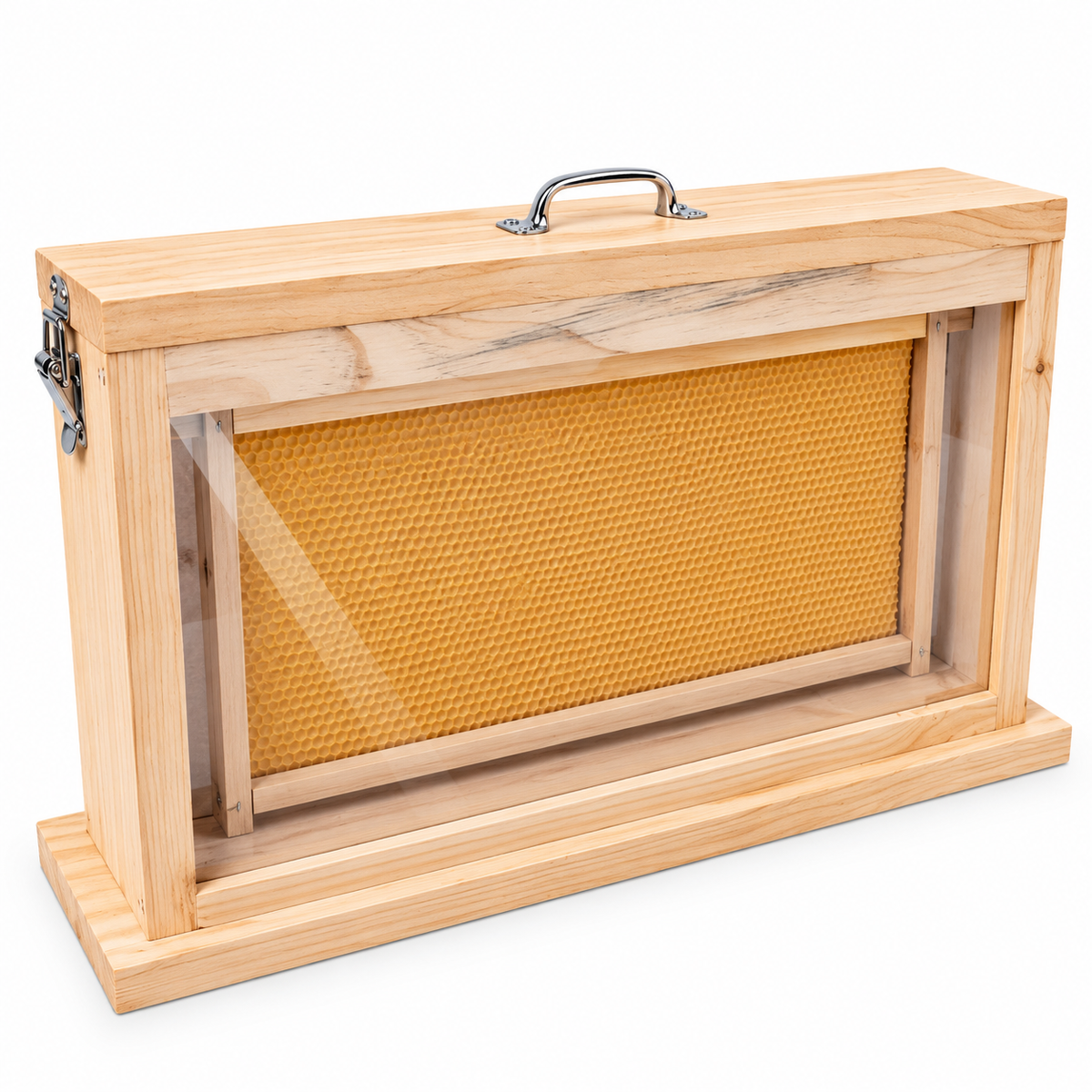 Observation Educational Beehive - Single Frame