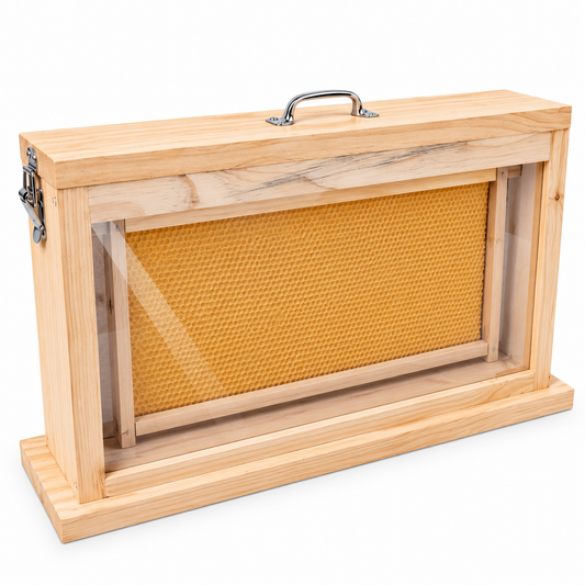 Observation Educational Beehive - Single Frame