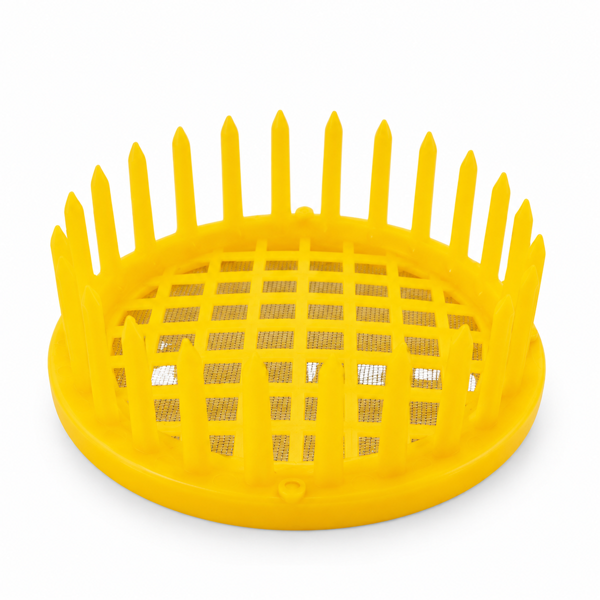 Plastic Frame Queen marker