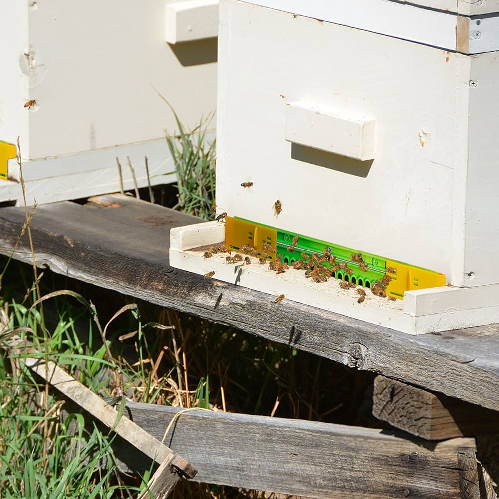 Plastic Beehive Entrance Reducer