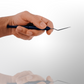 Stainless Steel Bee Queen Grafting Tool